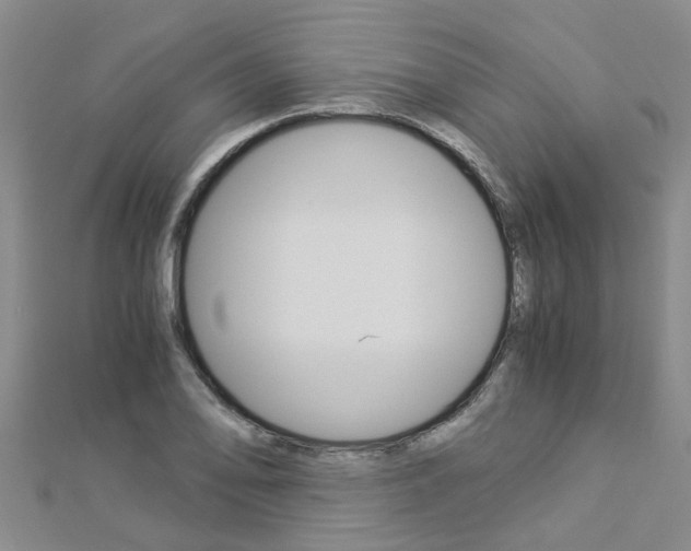 X0000112881078200908211046