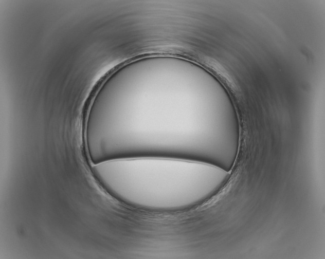 X0000112881079200908211046
