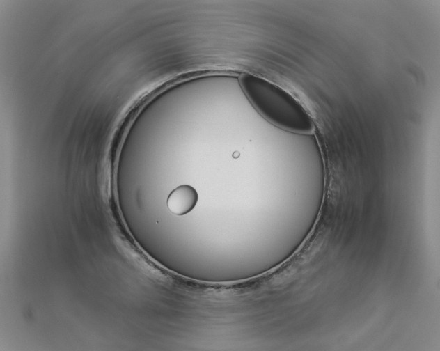 X0000112881080200908211046