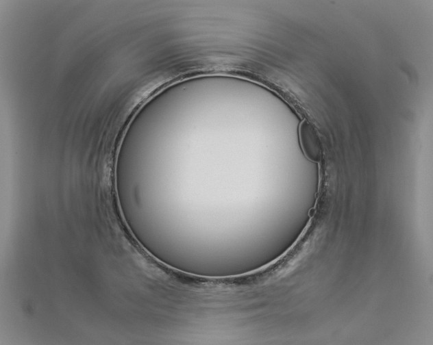 X0000112881081200908211046