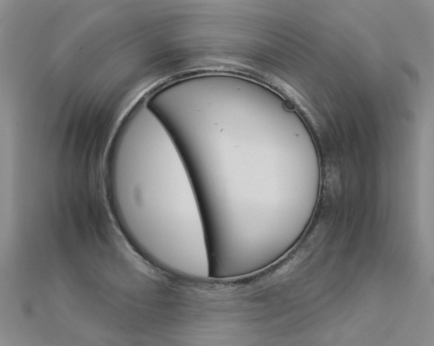 X0000112881082200908211046