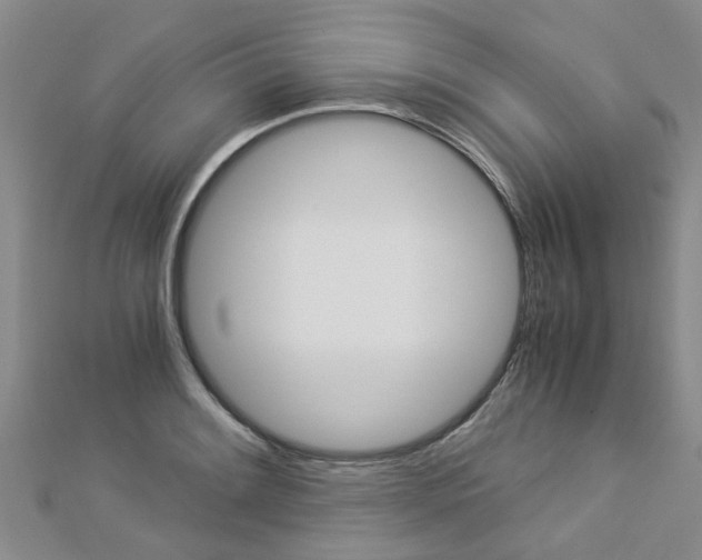 X0000112881084200908211046