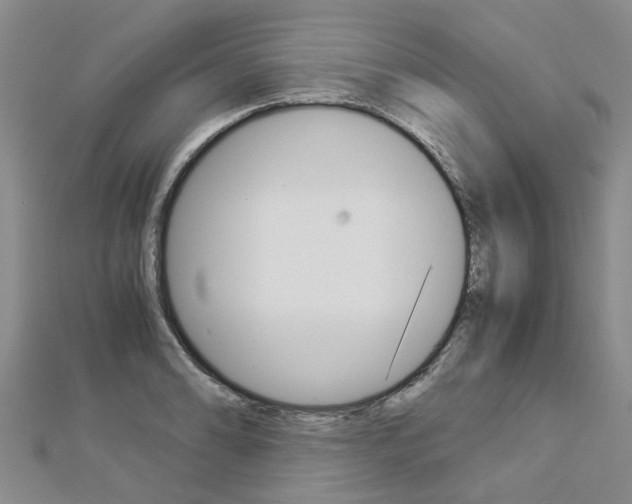 X0000112881086200908211046