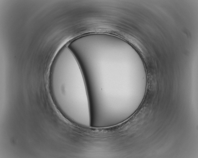 X0000112881087200908211046