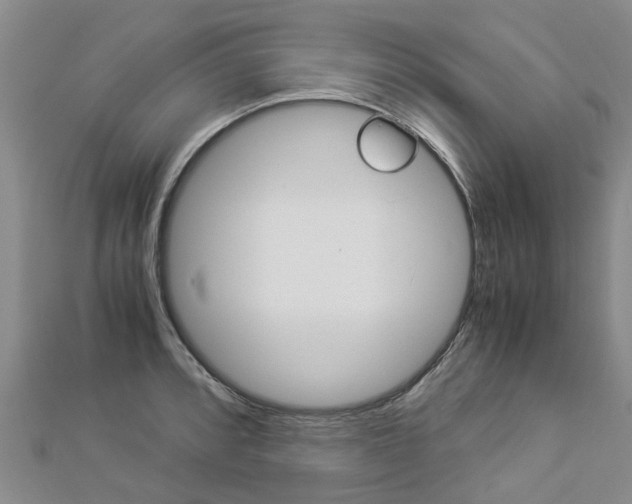 X0000112881088200908211046