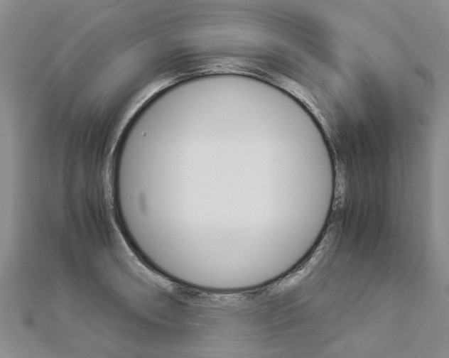 X0000112881090200908211046