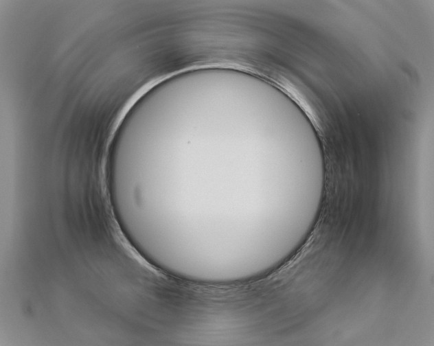 X0000112881092200908211046