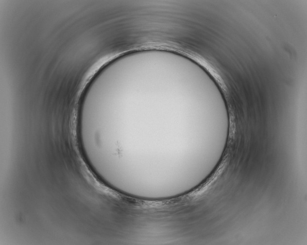 X0000112881094200908211046