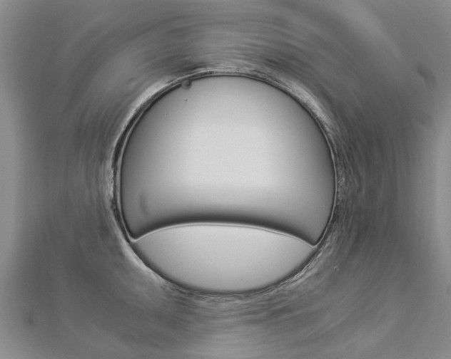X0000112881095200908211046