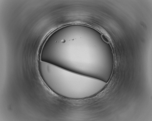 X0000112881096200908211046