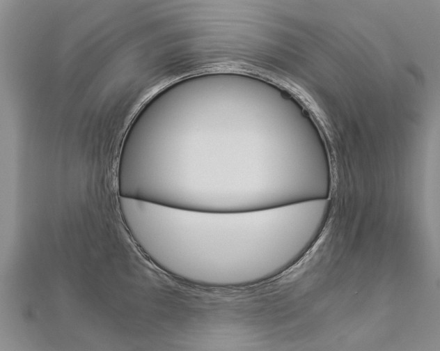 X0000112881097200908211046