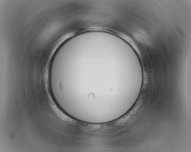X0000112881098200908211046