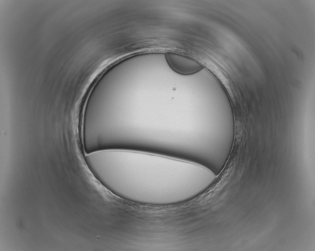 X0000112881099200908211046