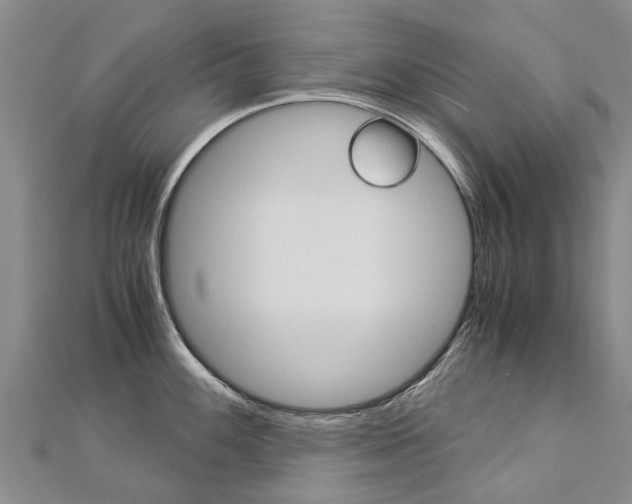 X0000112881100200908211046