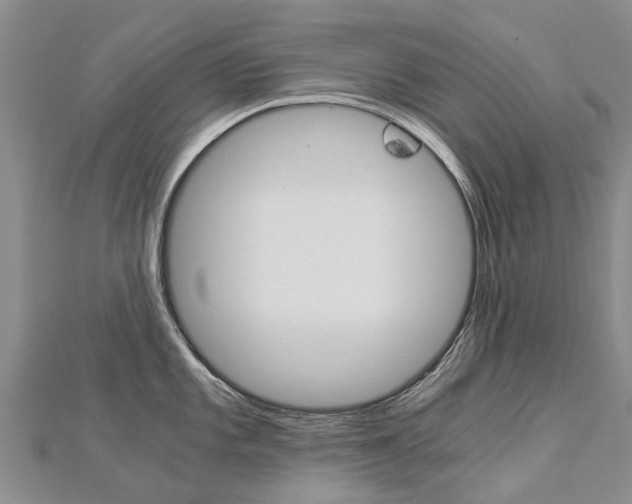 X0000112881101200908211046