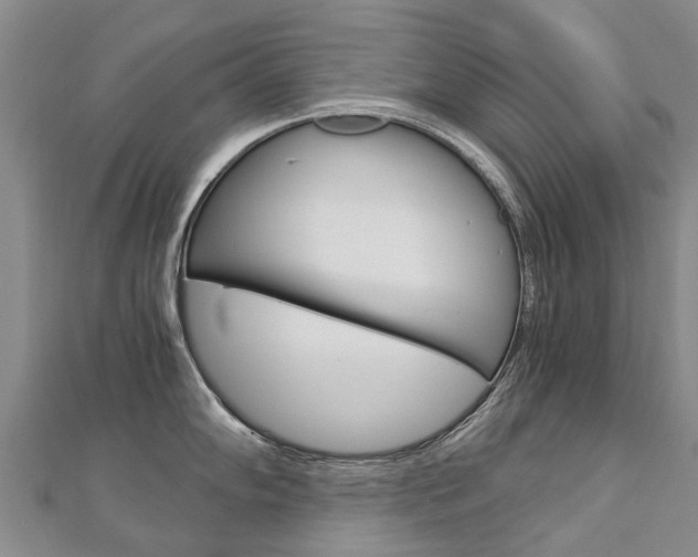 X0000112881102200908211046
