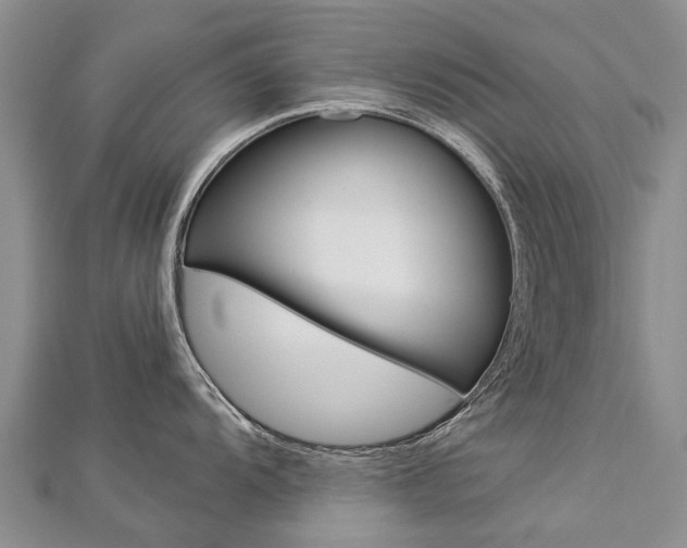 X0000112881104200908211046