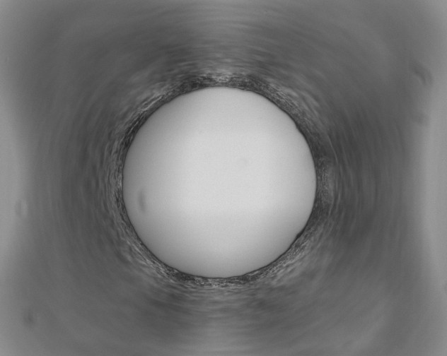 X0000112881105200908211045