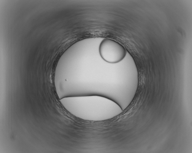X0000112881106200908211045