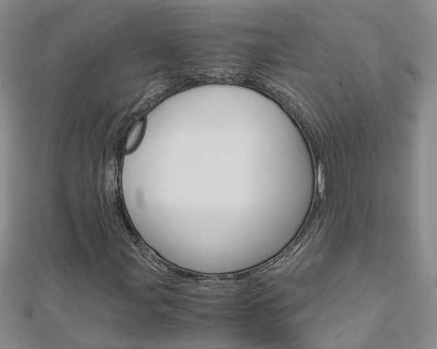 X0000112881107200908211045