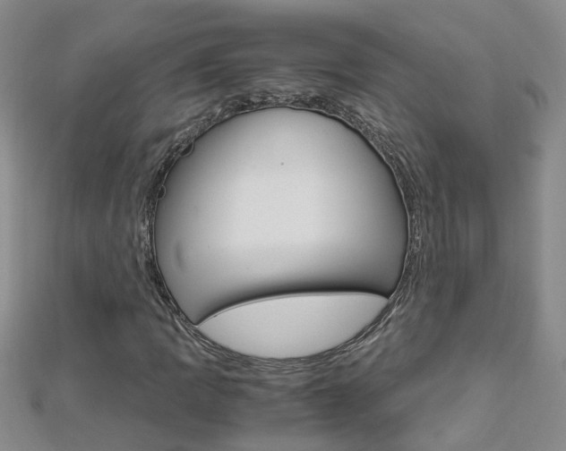 X0000112881109200908211045