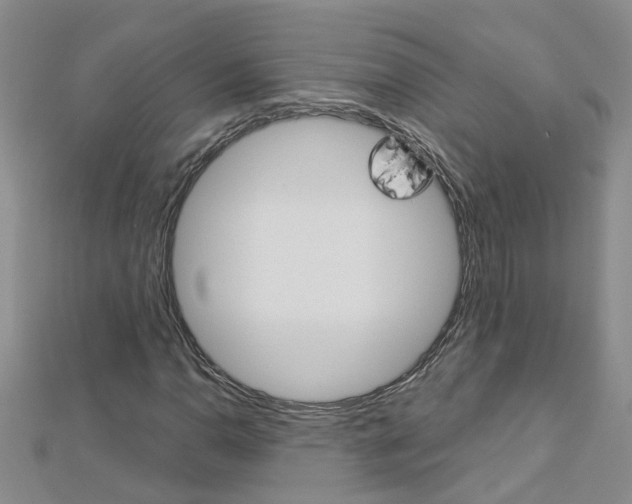 X0000112881110200908211045