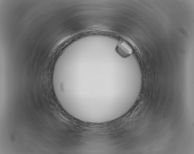 X0000112881112200908211045
