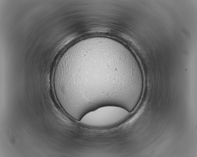 X0000112881113200908211045