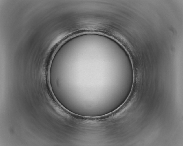 X0000112881114200908211045