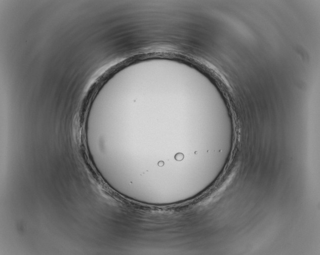 X0000112881117200908211046