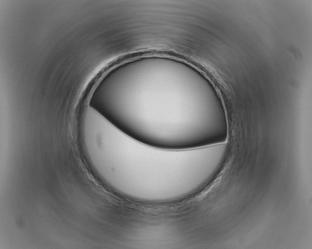 X0000112881118200908211046