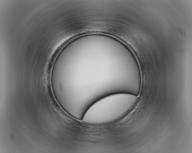 X0000112881119200908211046