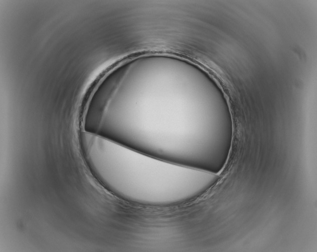 X0000112881120200908211046