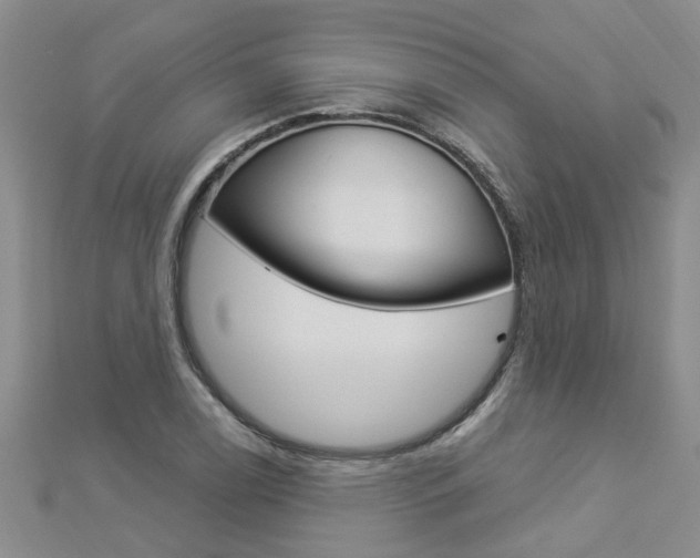 X0000112881122200908211046