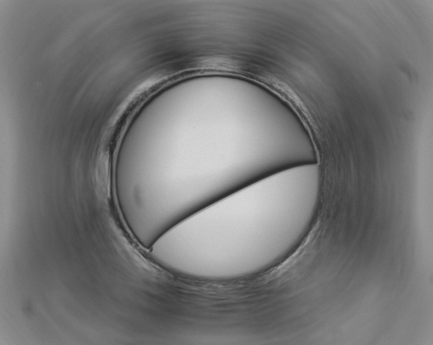 X0000112881123200908211046