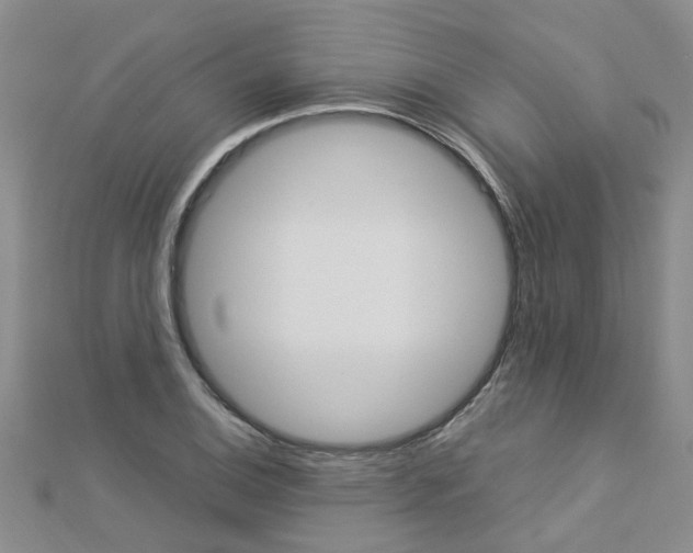X0000112881124200908211046