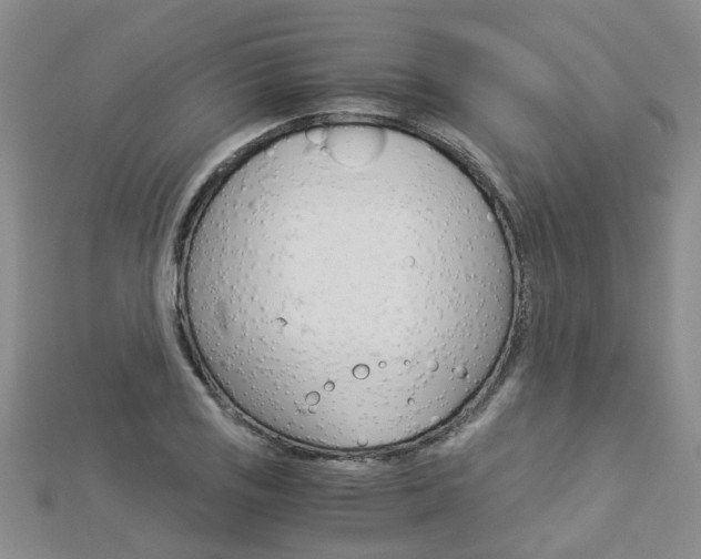 X0000112881125200908211046