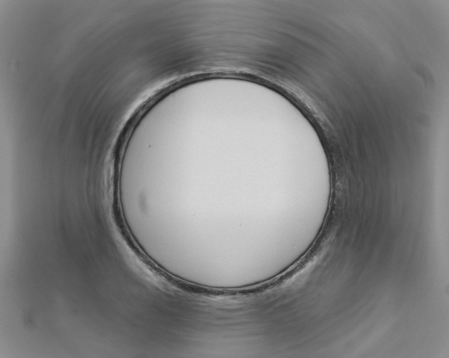 X0000112881126200908211046
