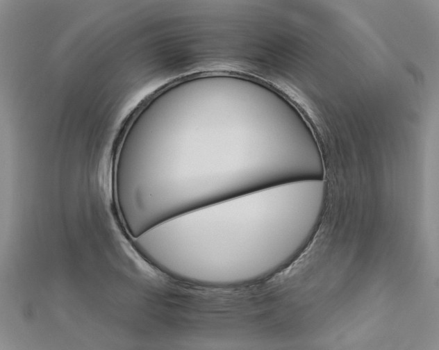 X0000112881127200908211046