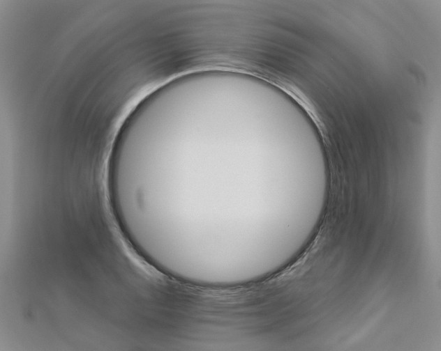 X0000112881128200908211046