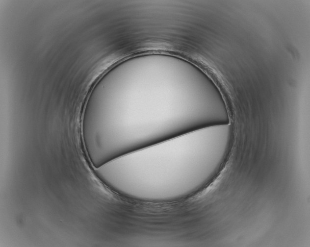 X0000112881129200908211046