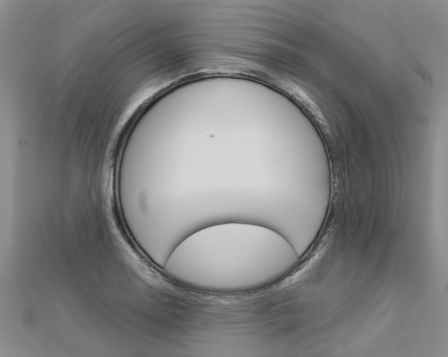 X0000112881130200908211046