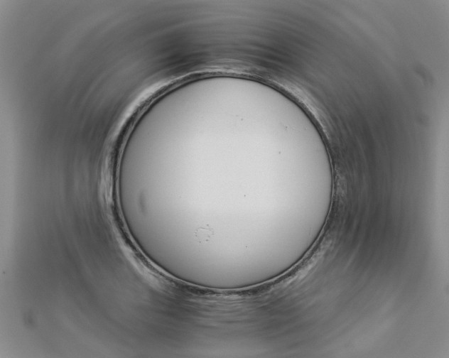X0000112881131200908211046