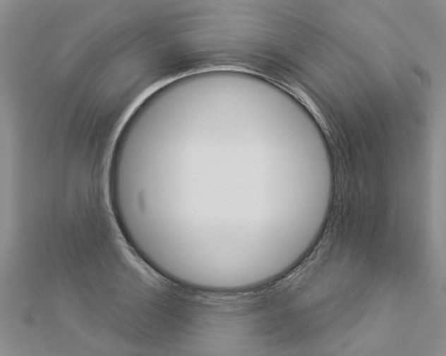 X0000112881132200908211046