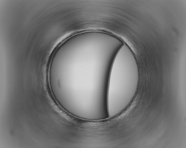 X0000112881134200908211046