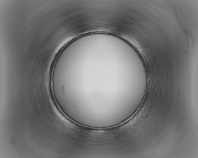 X0000112881135200908211046