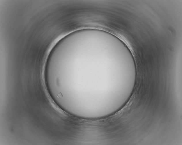 X0000112881136200908211046