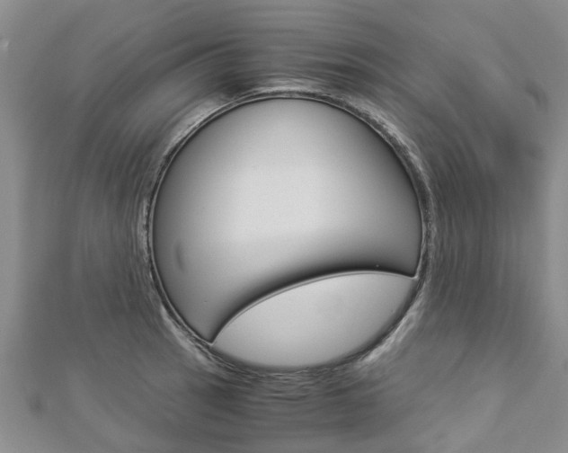 X0000112881137200908211046