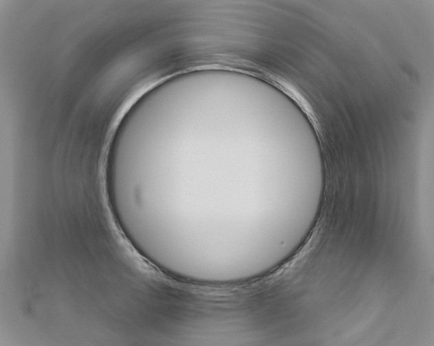 X0000112881138200908211046