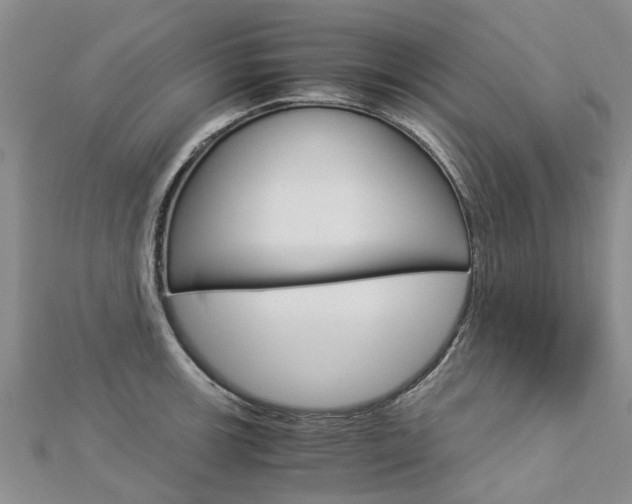 X0000112881139200908211046